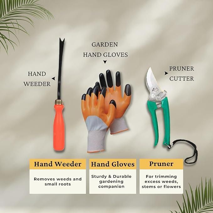 GreenGrip™ 6-Piece Gardening Tool Set with Box